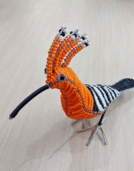 african beaded hoopoe