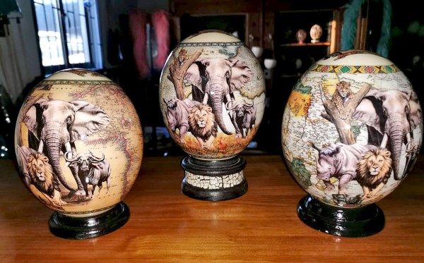ostrich egg big five 5 1