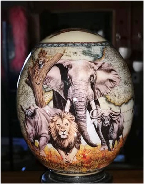 ostrich egg big five 51