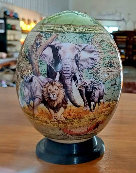ostrich egg big five south africa3
