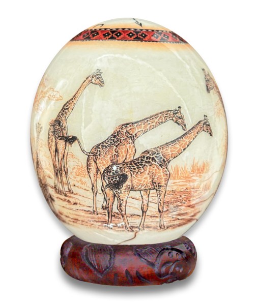 Ostrich Eggs Wholesale South Africa