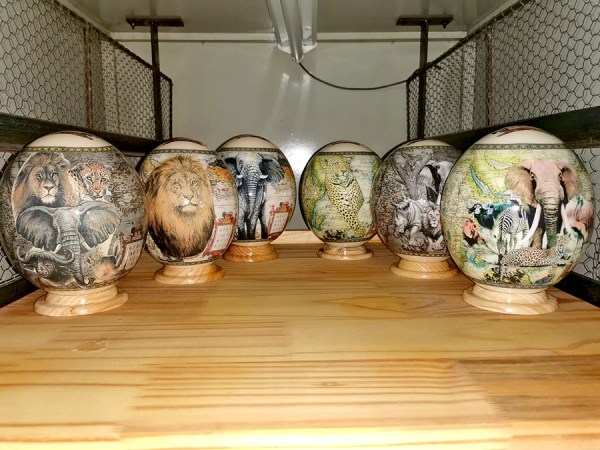 ostrich egg shells