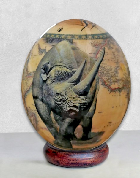 rhino ostrich egg shell buy online south africa7