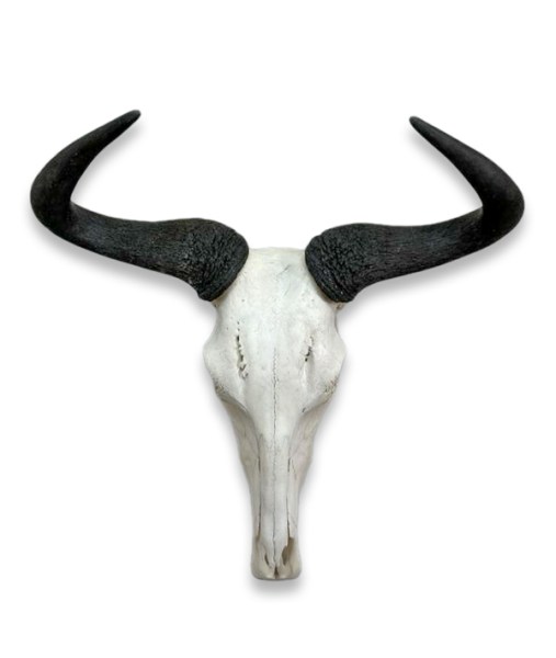 Wilderbeest Skulls