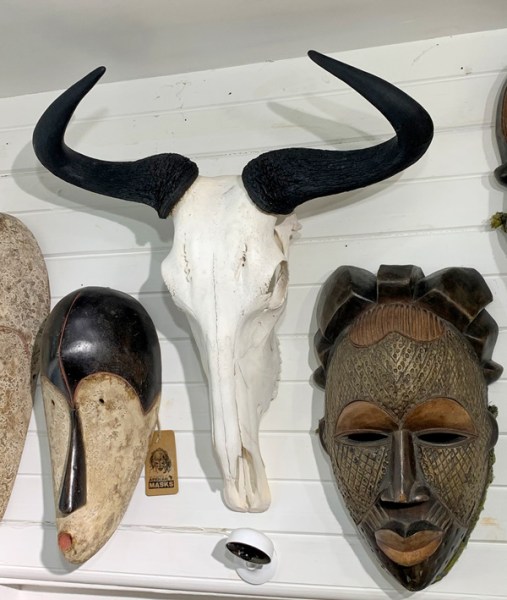 Wilderbeest Skulls